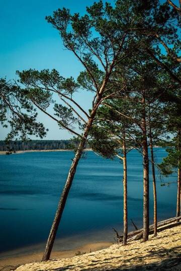 Фото номера Дом с 2 спальнями Дома для отпуска River Side House г. Vārnu Krogs 53