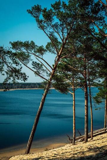 Фото номера Дом с 2 спальнями Дома для отпуска River Side House г. Vārnu Krogs 27